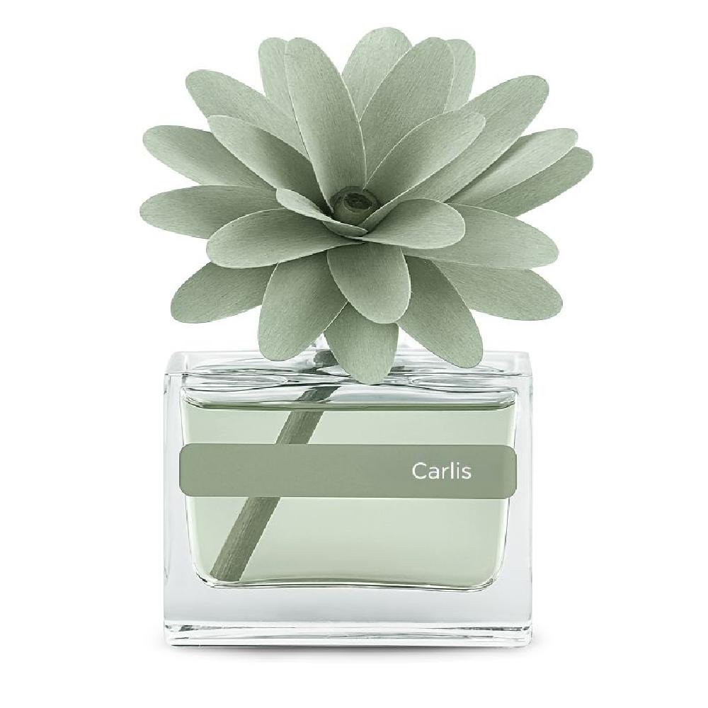 MUHA - "Carlis" - 30ml | De Tafel Tienen